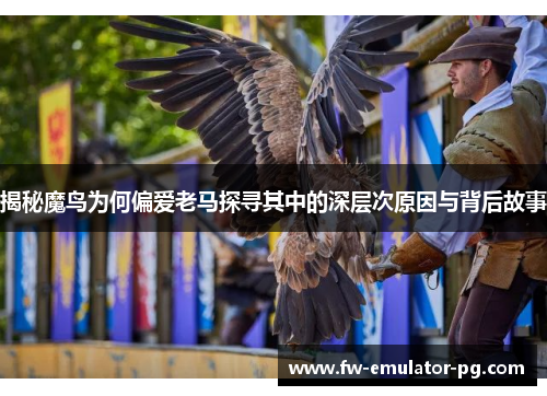 揭秘魔鸟为何偏爱老马探寻其中的深层次原因与背后故事