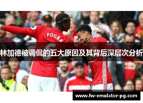 林加德被调侃的五大原因及其背后深层次分析 林加德被调侃的五大原因及其背后深层次分析