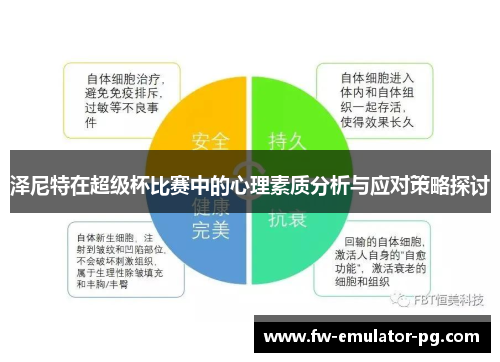 泽尼特在超级杯比赛中的心理素质分析与应对策略探讨