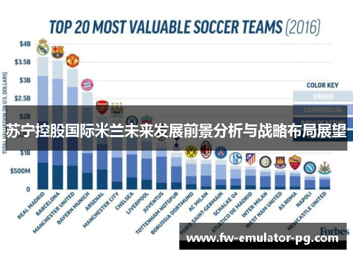 苏宁控股国际米兰未来发展前景分析与战略布局展望