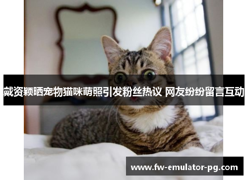 戴资颖晒宠物猫咪萌照引发粉丝热议 网友纷纷留言互动