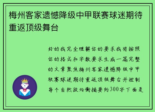 梅州客家遗憾降级中甲联赛球迷期待重返顶级舞台